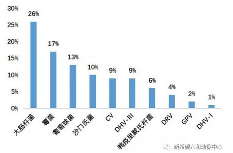 图4-18.jpg