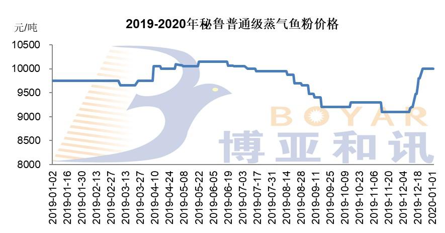 秘鲁鱼粉价格.jpg