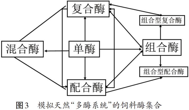 003_副本.jpg